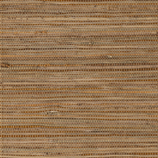 Jervis Driftwood