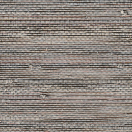 NG-02B_