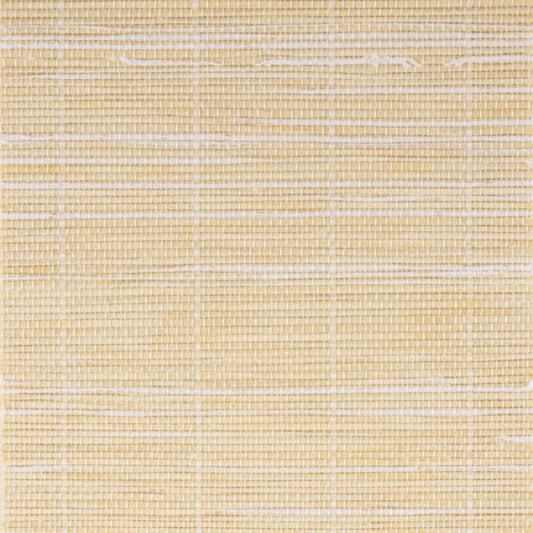 PS-ZW021B